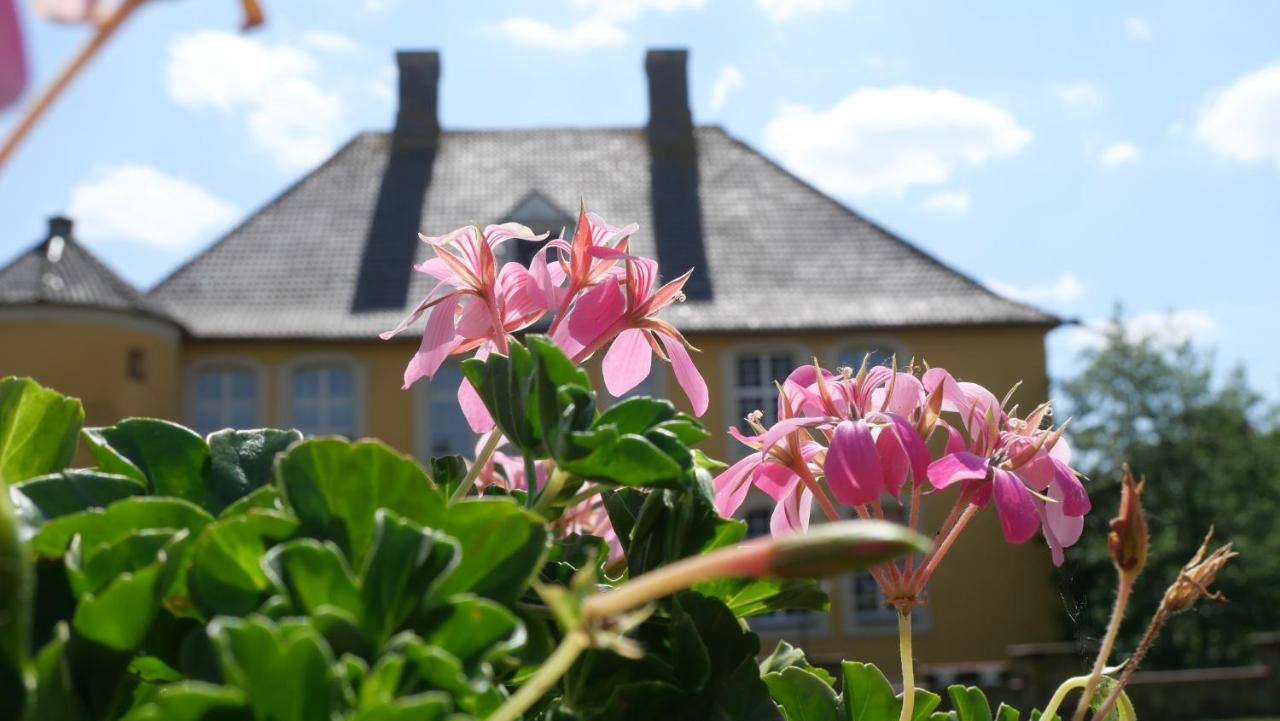 Hotel Schloss Diepenbrock Bocholt Exteriér fotografie